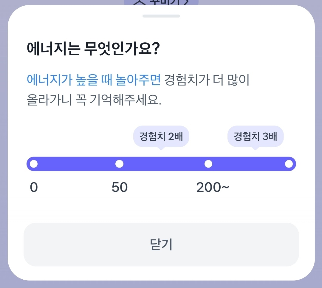 토스 고양이 놀아주기