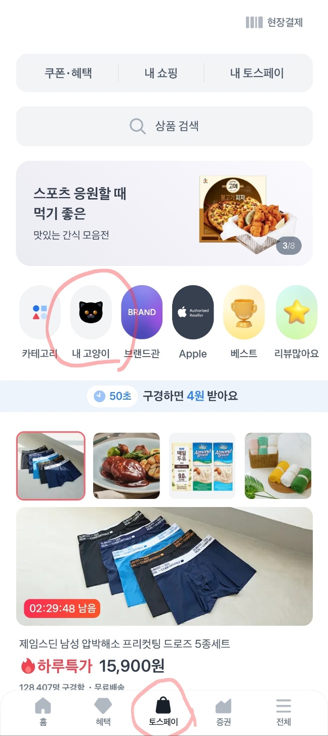 토스 고양이키우기